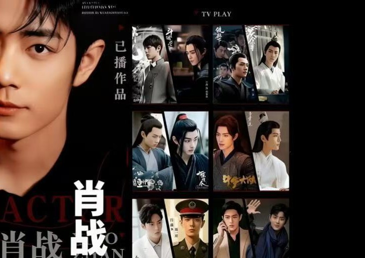 肖戦　作品一覧 - 華流グッズストア