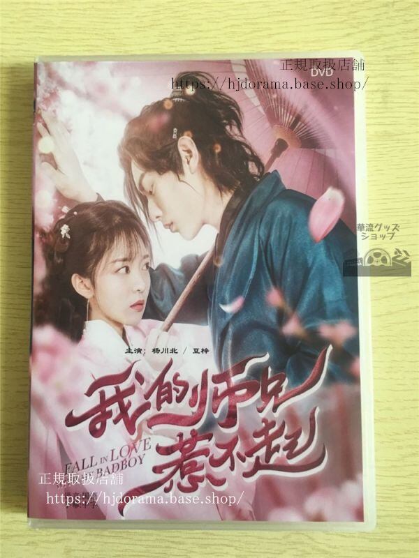 中国映画『無名狂』DVD-BOX張暁晨劉泳希全話中国盤日本語字幕なし華流ドラマ - 華流グッズストア